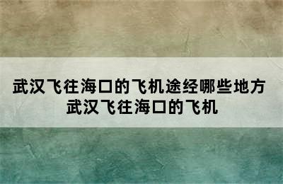 武汉飞往海口的飞机途经哪些地方 武汉飞往海口的飞机